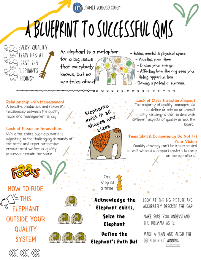 A Blueprint to successful QMS